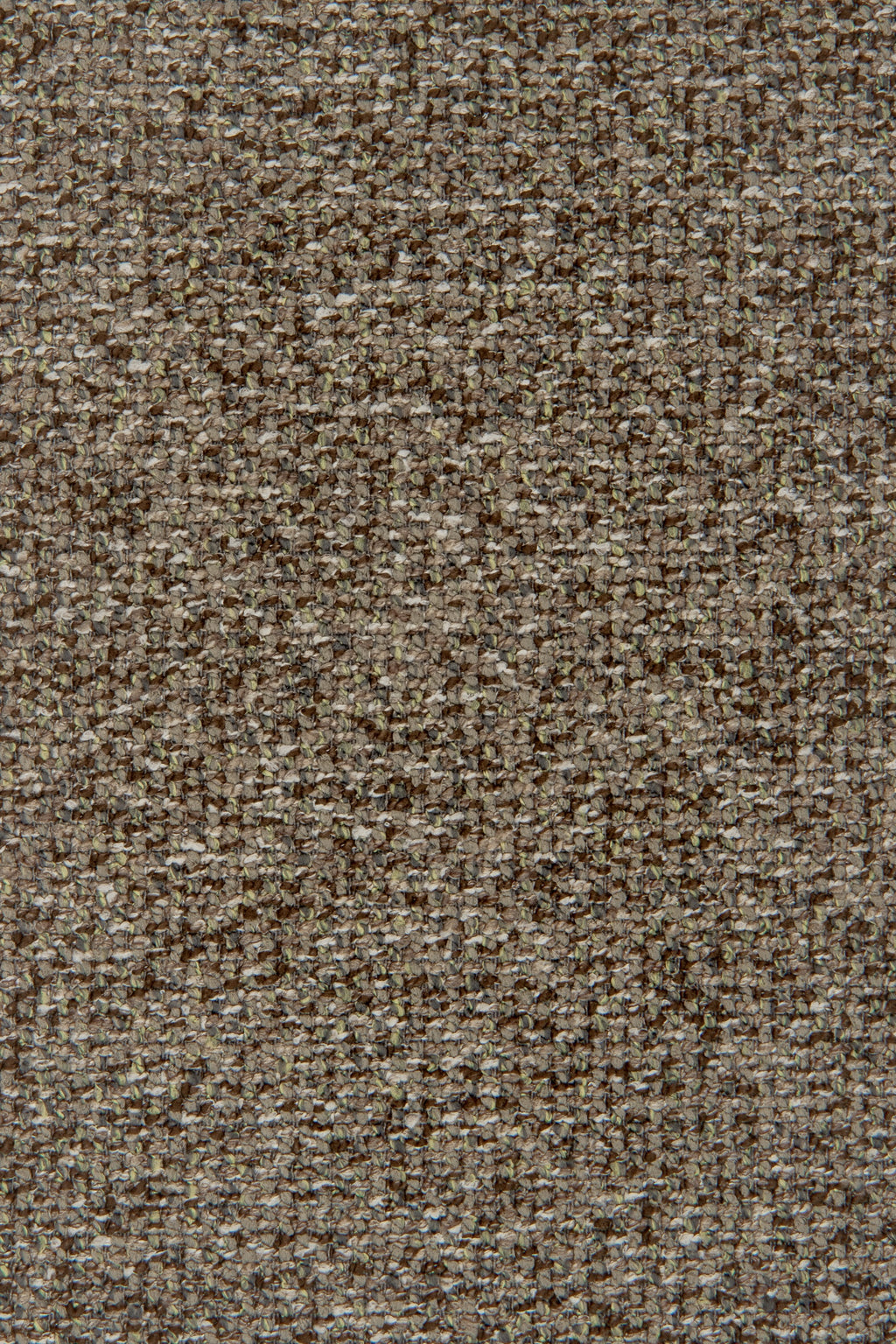 Arano 501