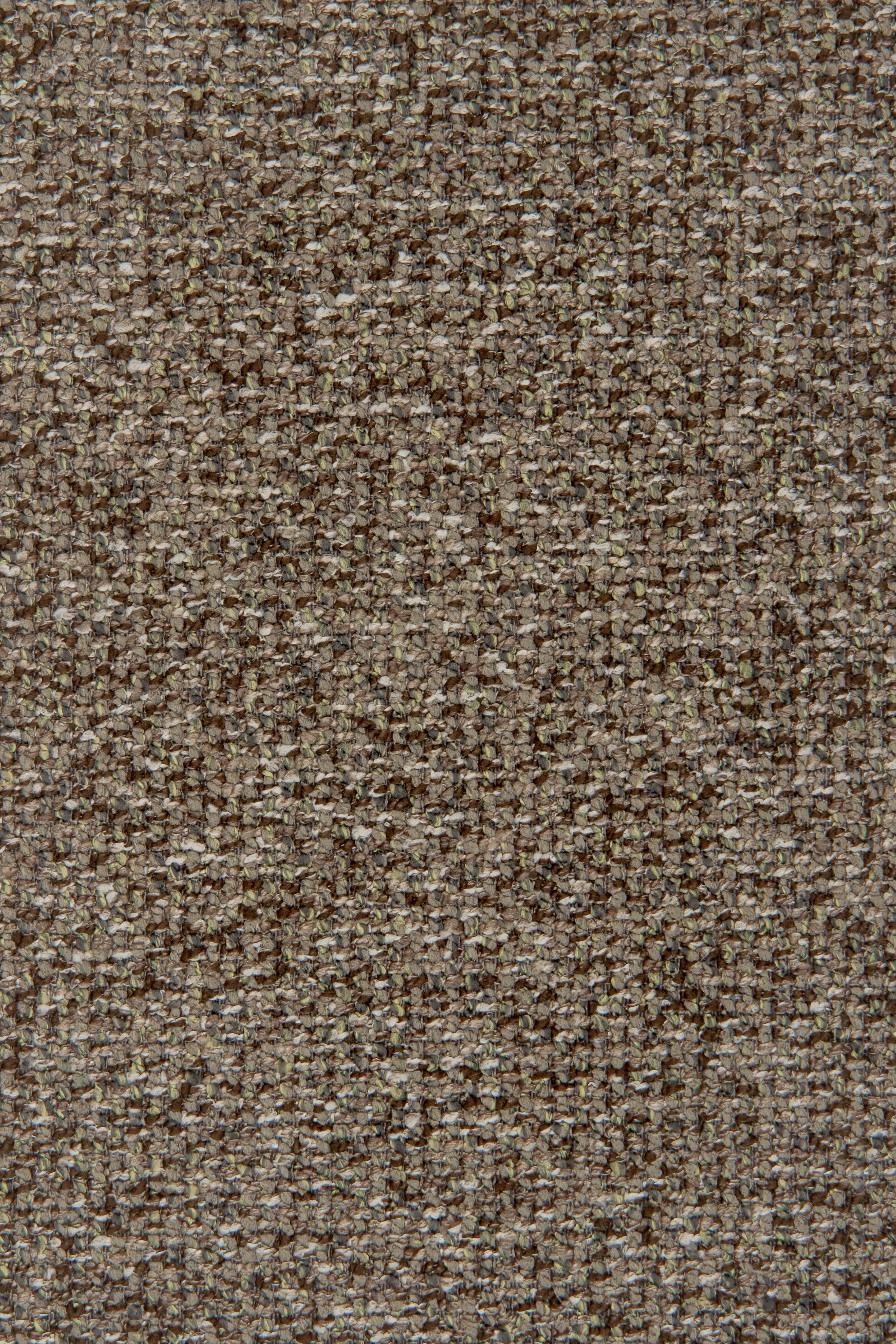 Arano 501