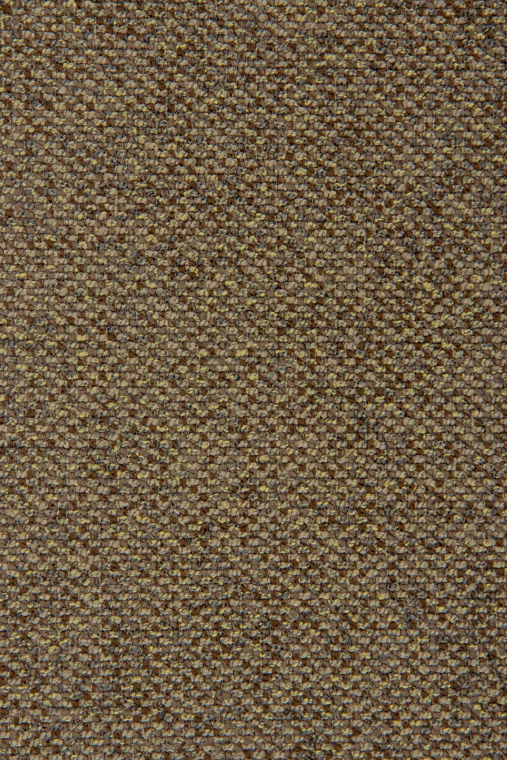 Arano 502