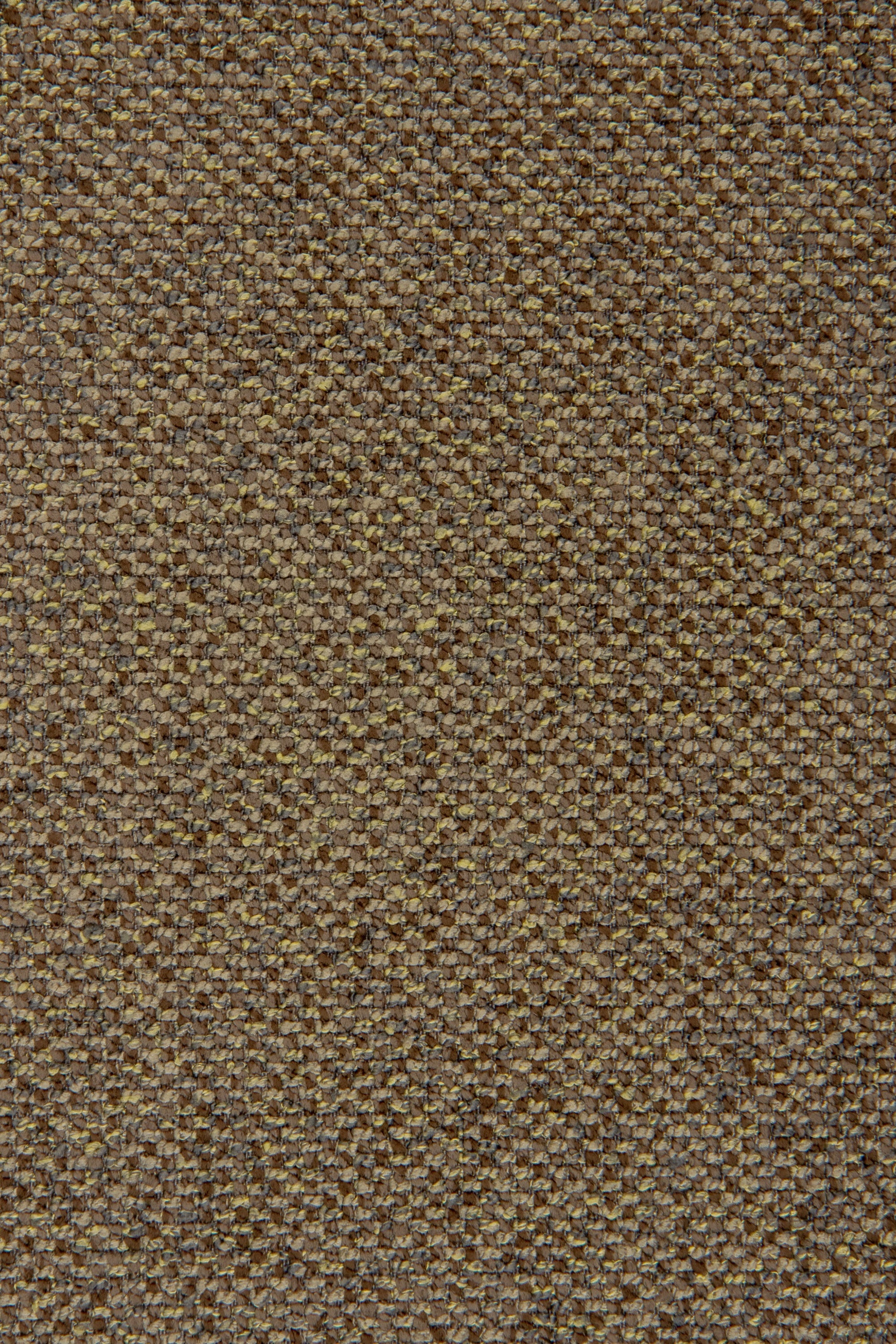 Arano 502