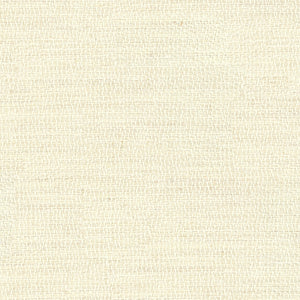 Avani 01