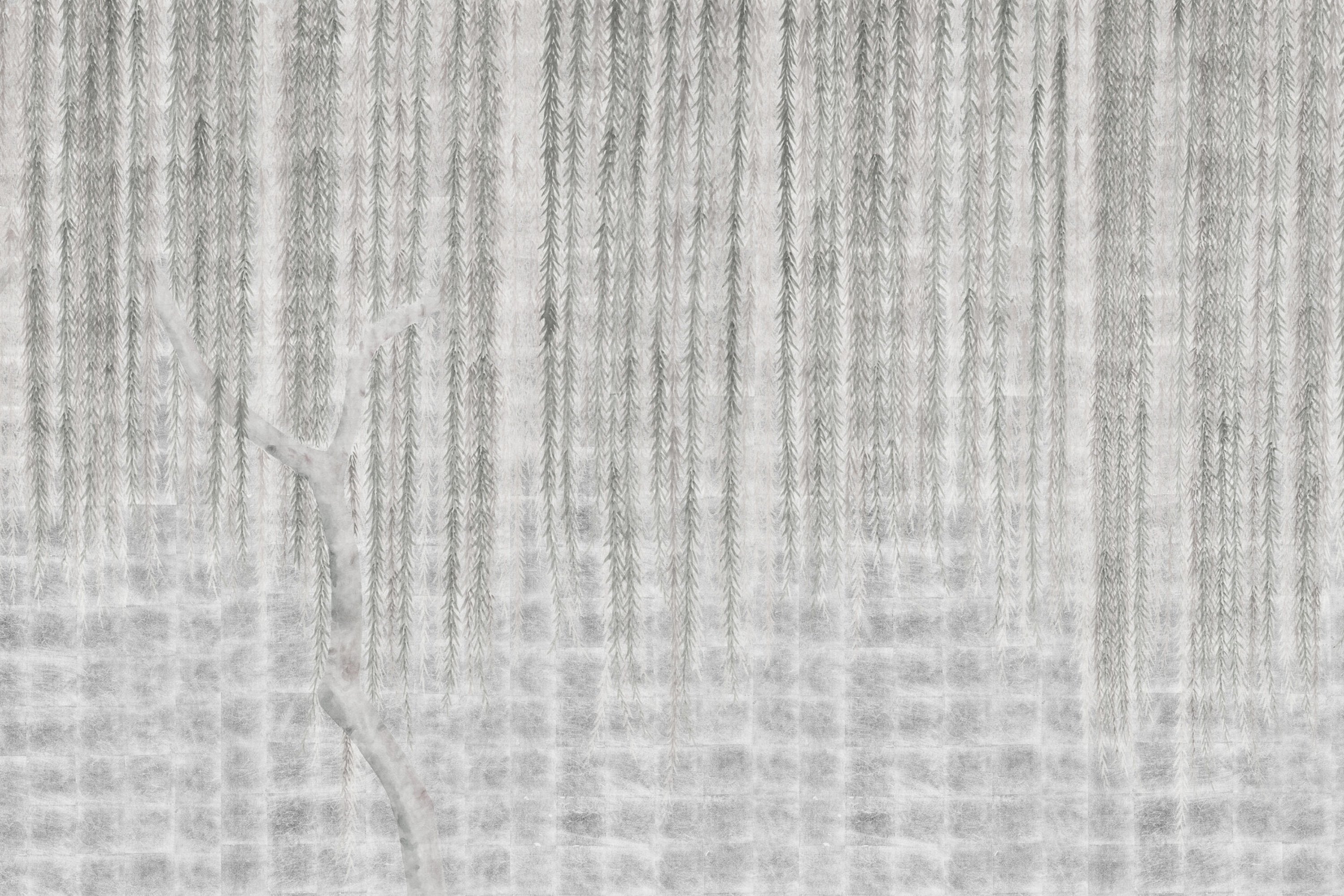 CH6205-12