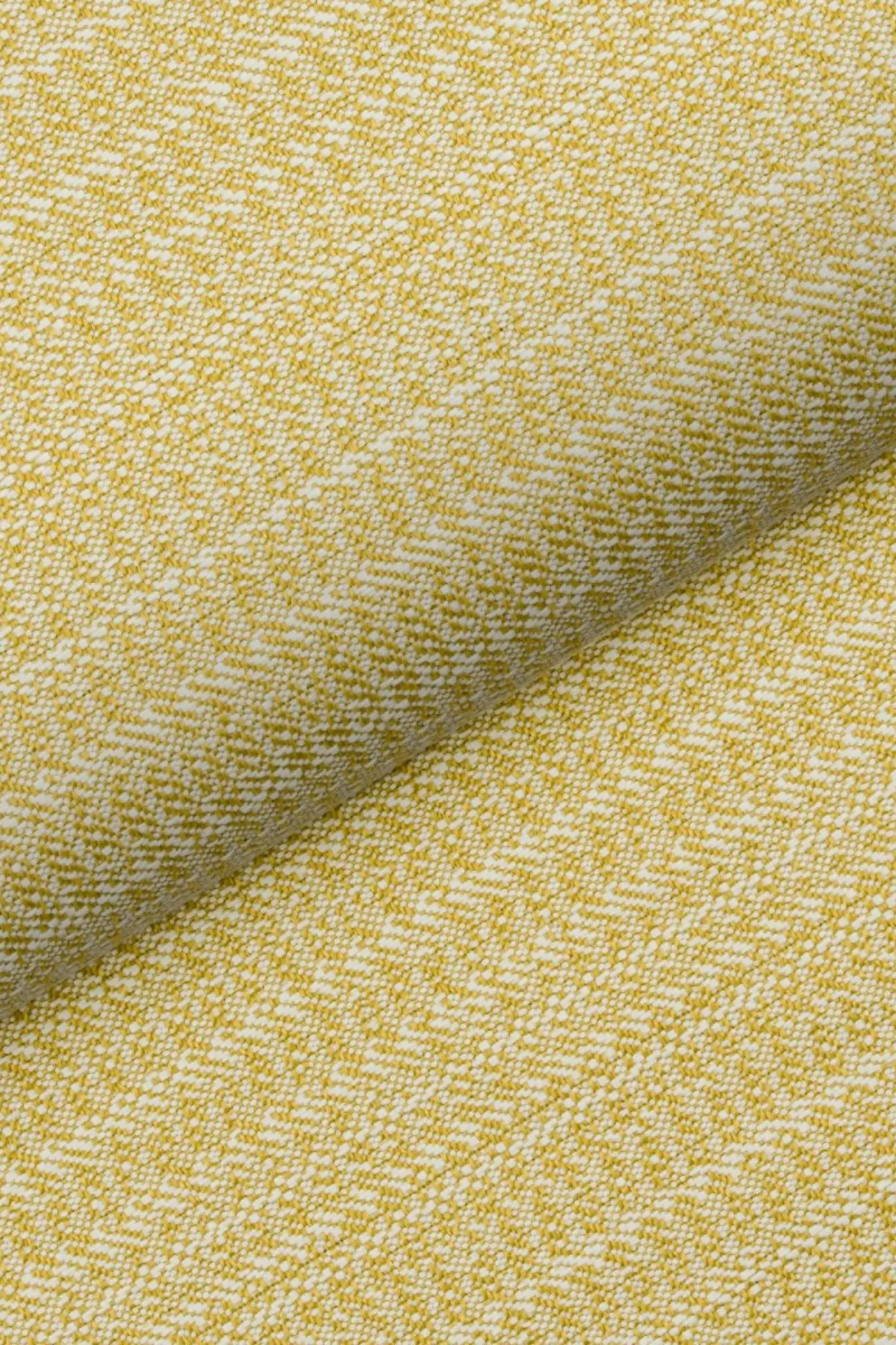 Cedar 01