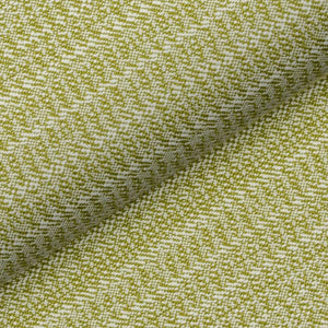Cedar 04