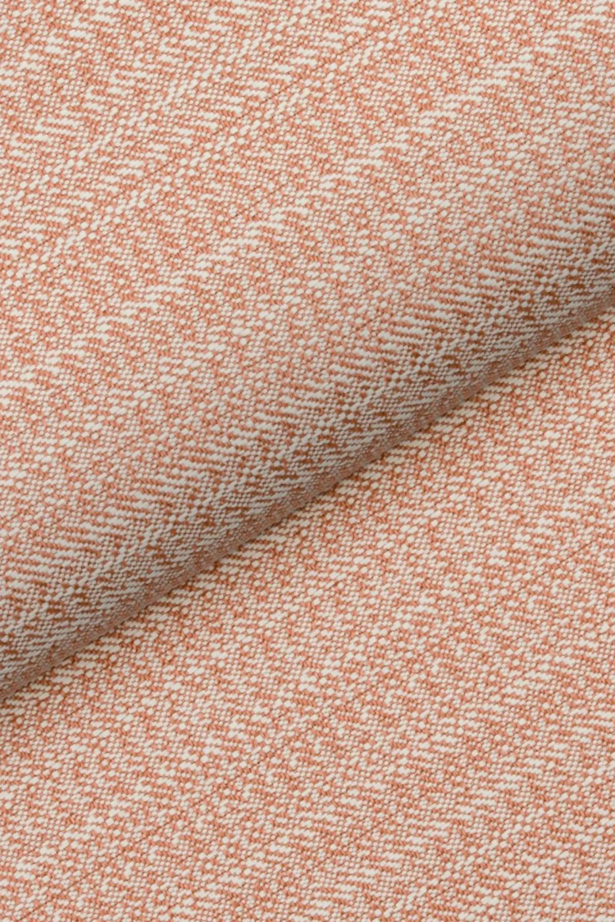 Cedar 06