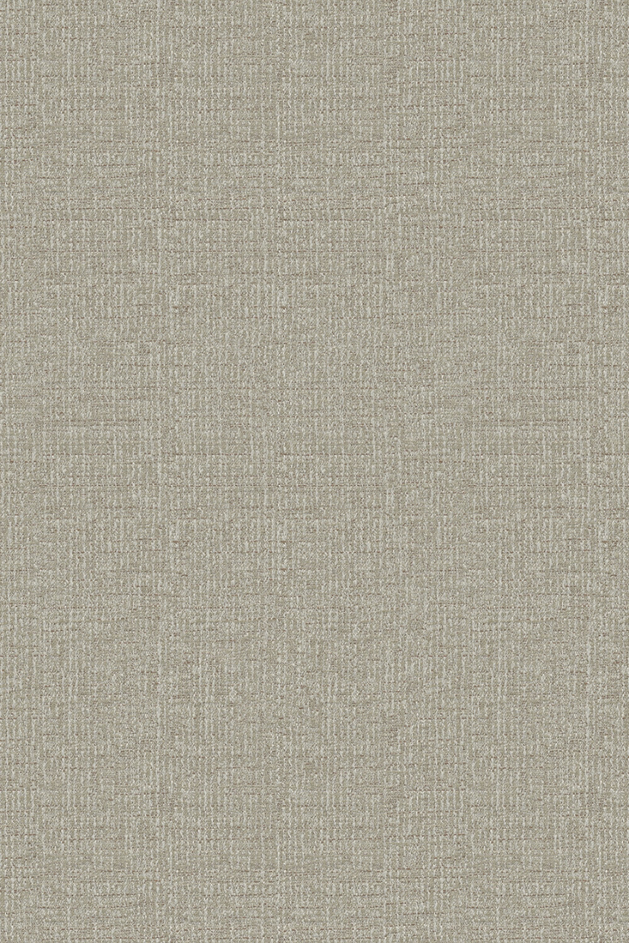 Hammersmith Oyster Gray