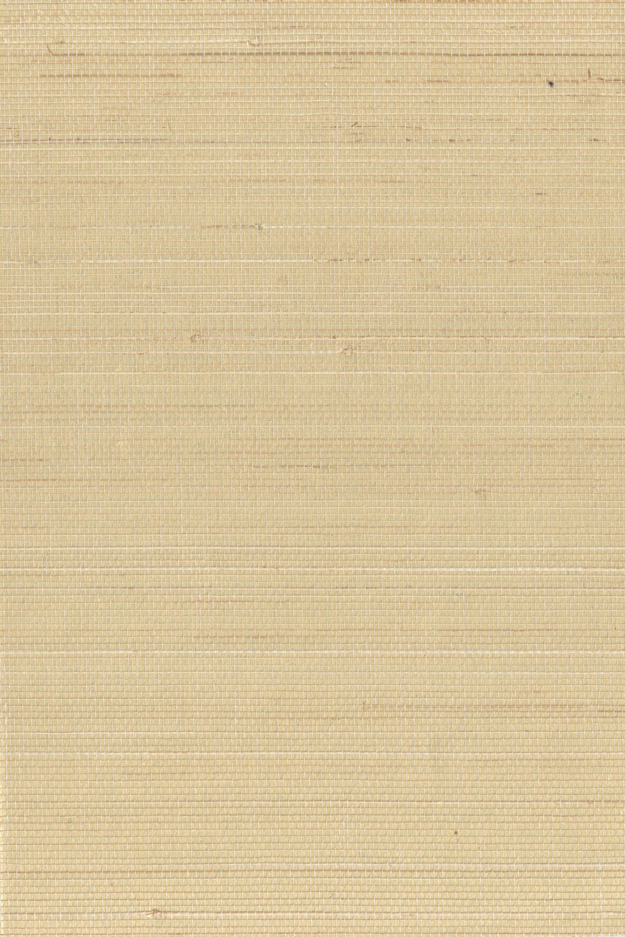 NA0007 Marigold Yellow