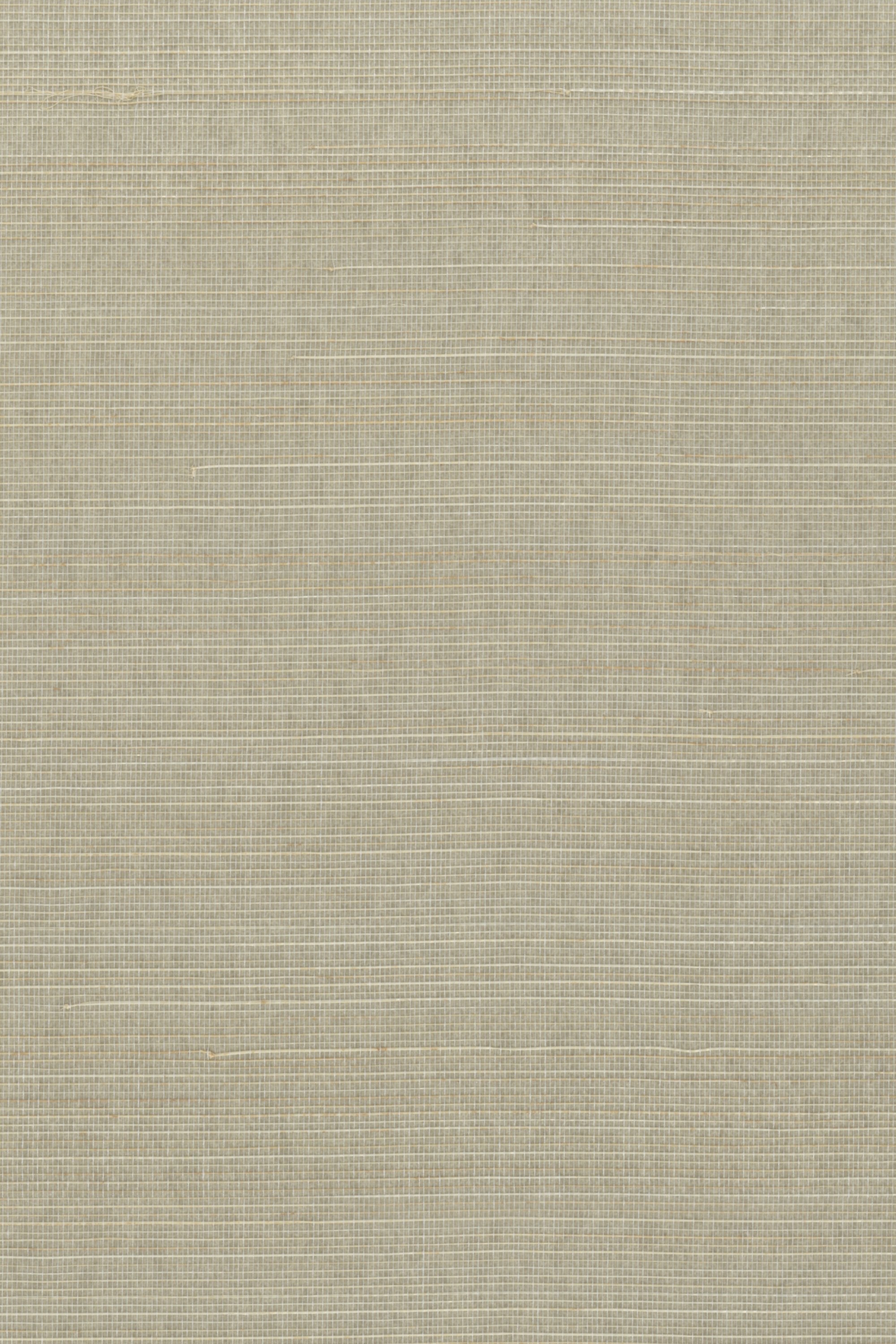 NA0019