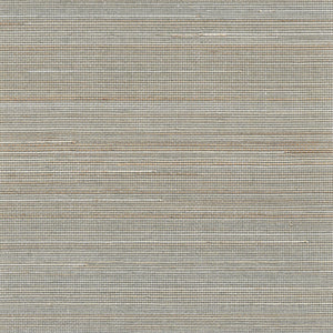 NA0128 Silver In White
