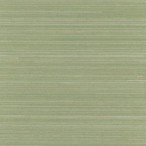NA0130 Tendril