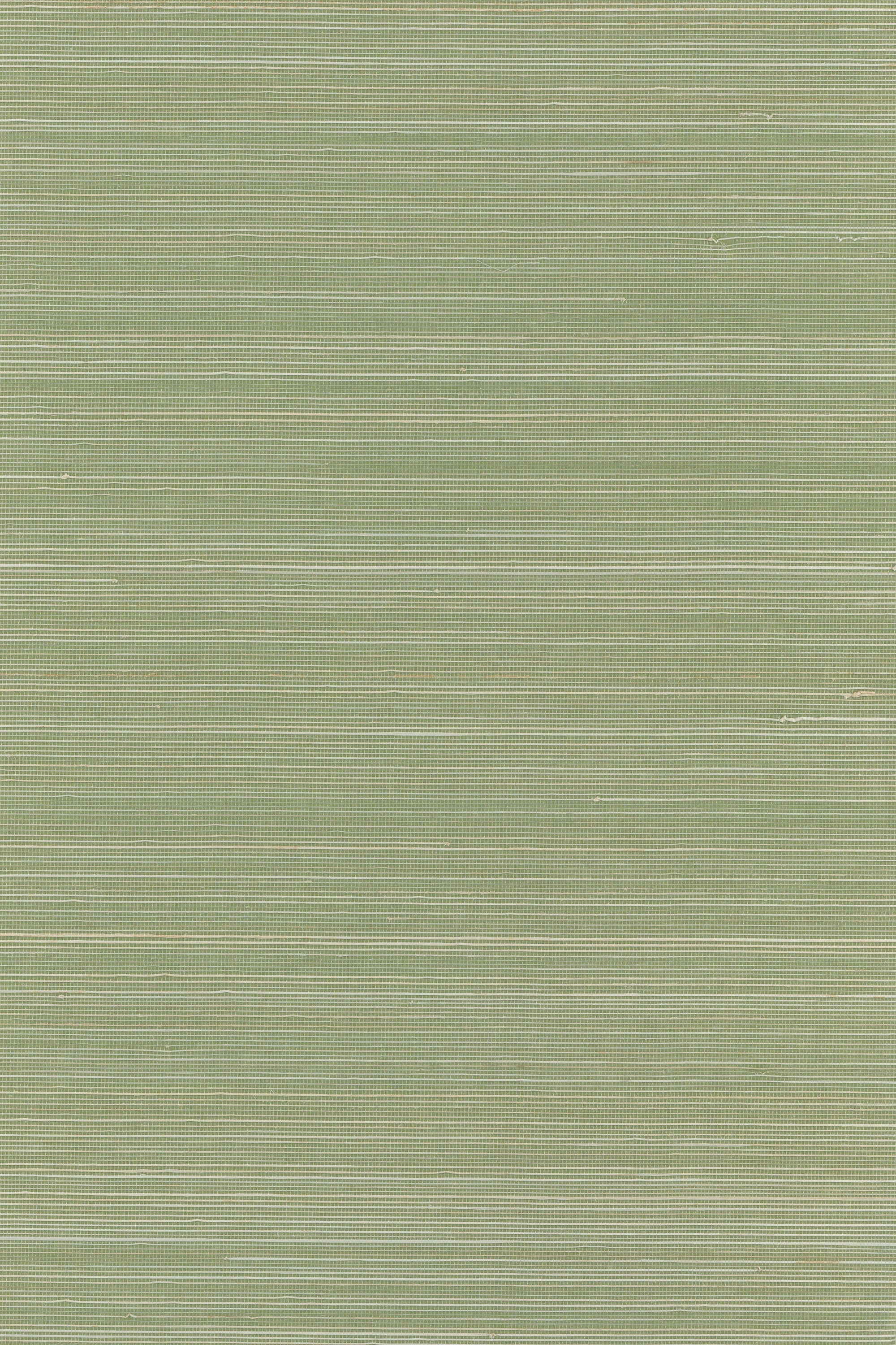 NA0130 Tendril