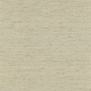 NA2025 Seed Pearl