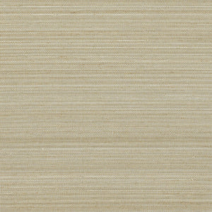 NA2037 Tan