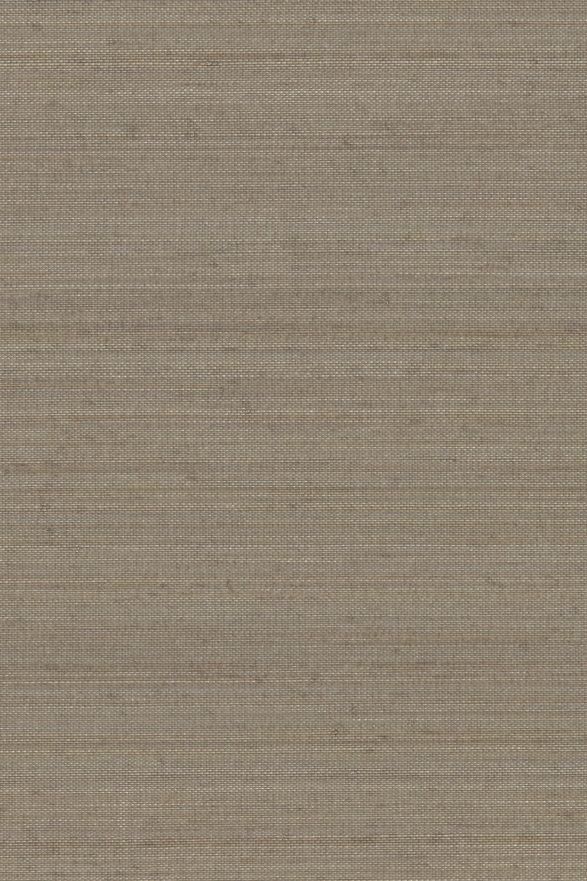 NA2091 Stone Fox