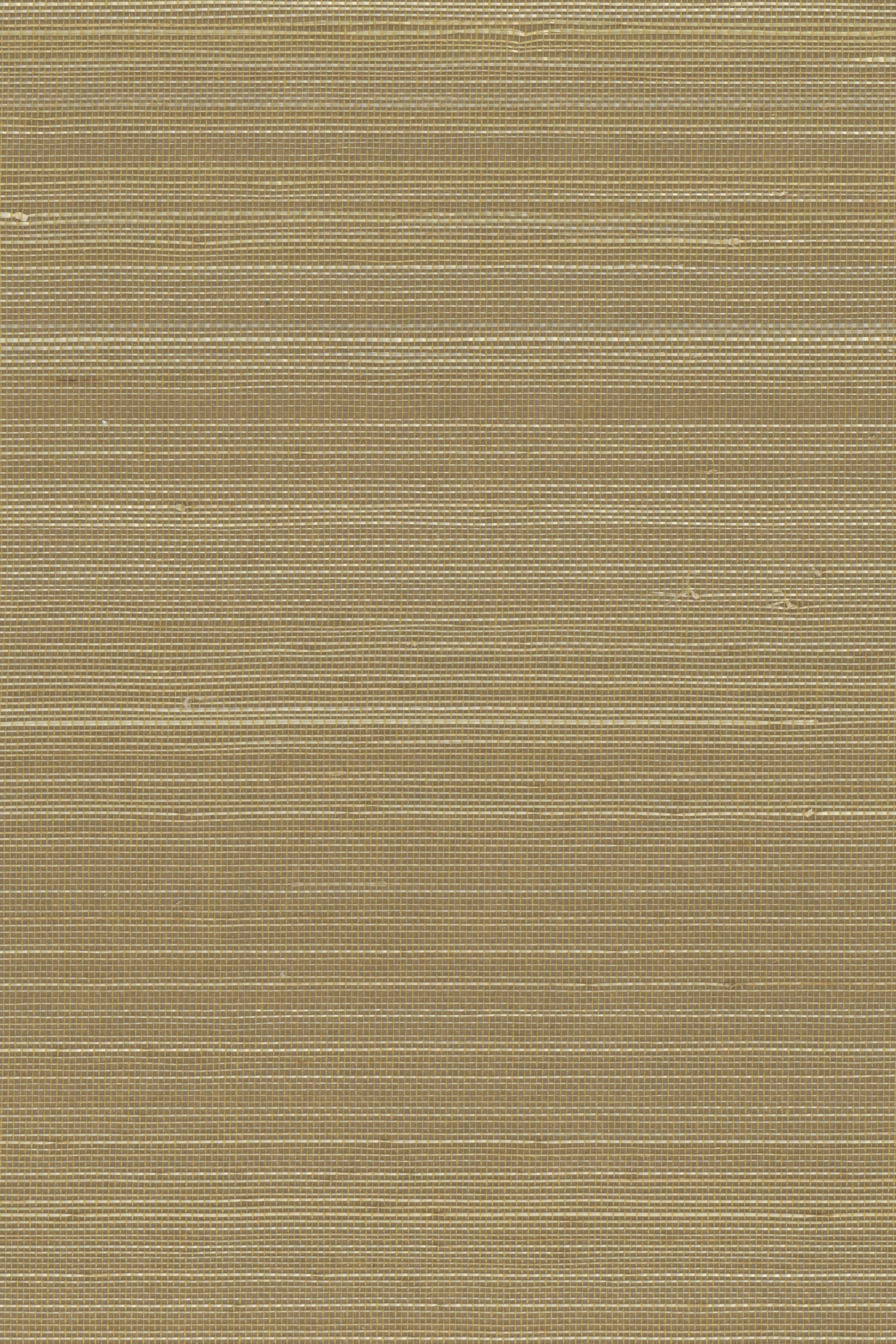 NA6007 Tan