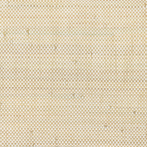 NG5081 Primary