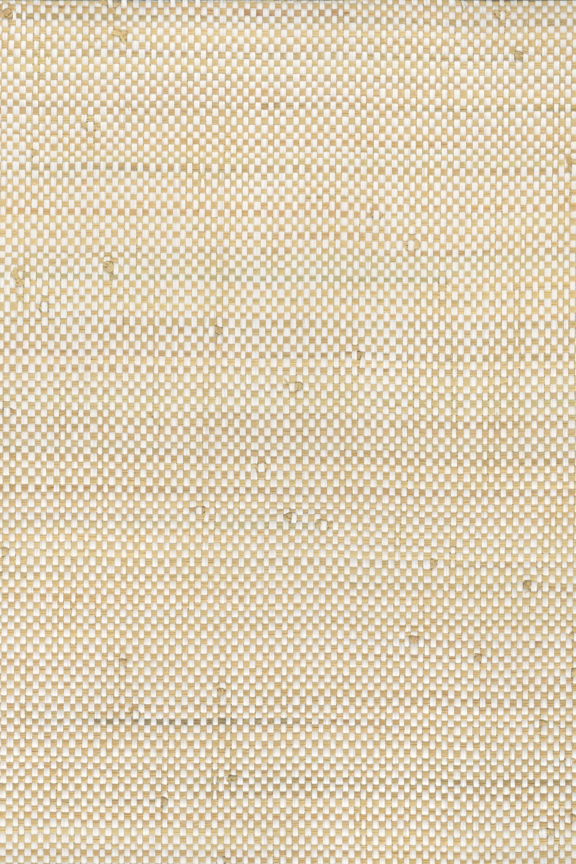 NG5081 Primary