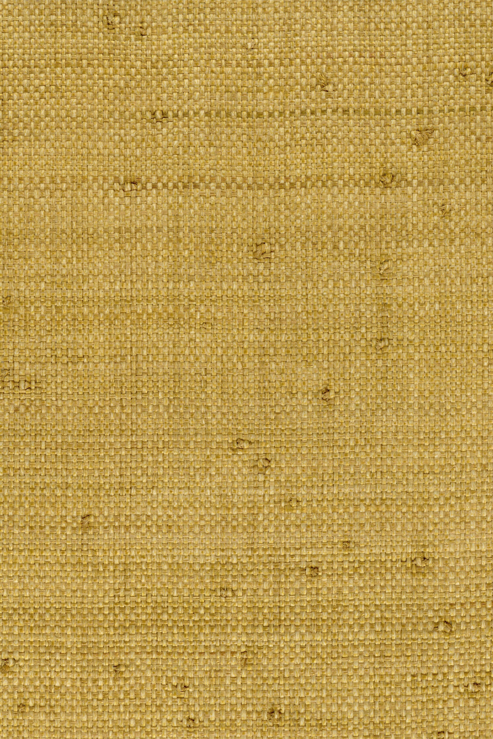 NG5084 Samoan Sun
