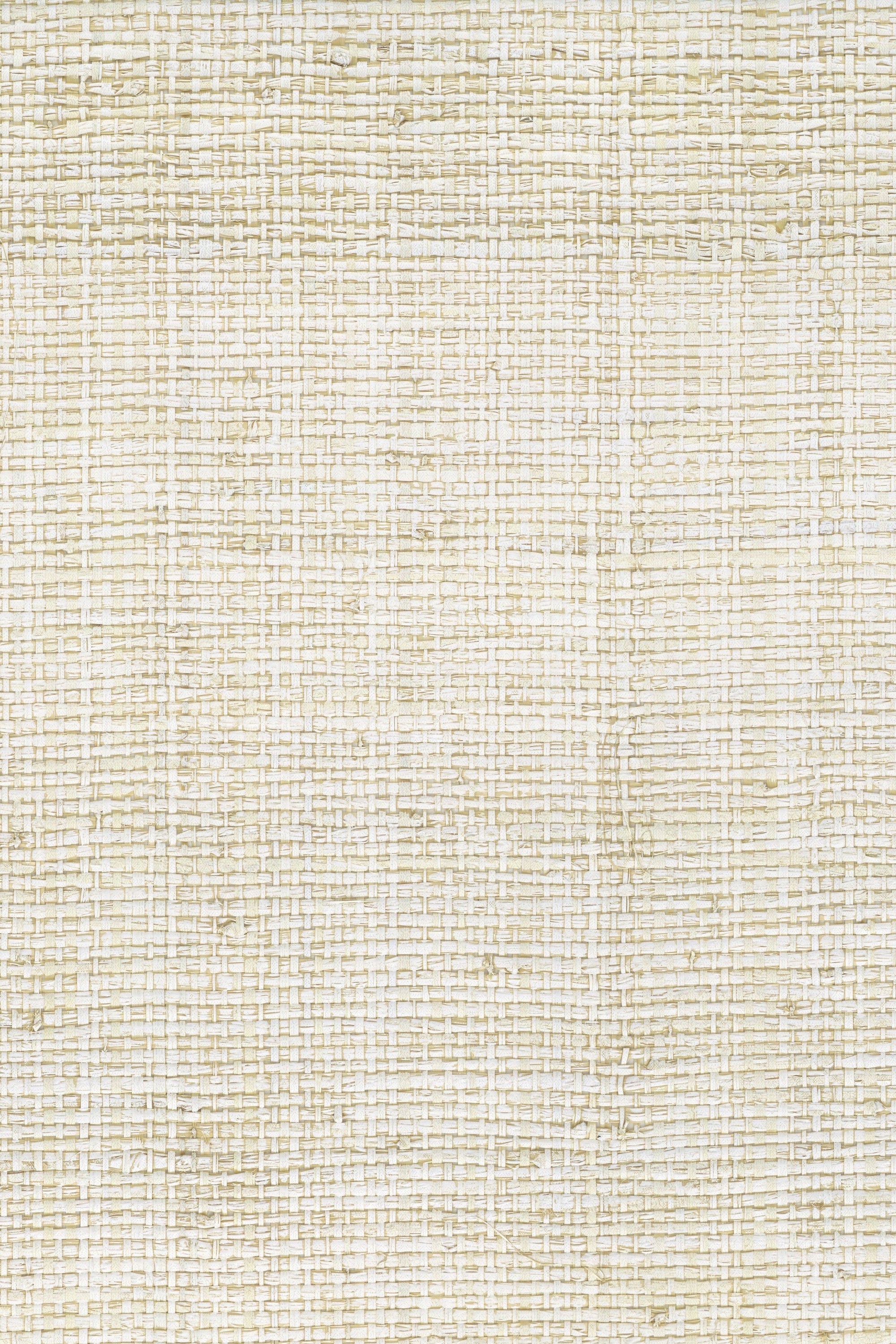 NG5086 White