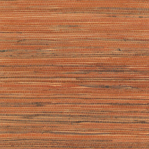 NH1007 Mango