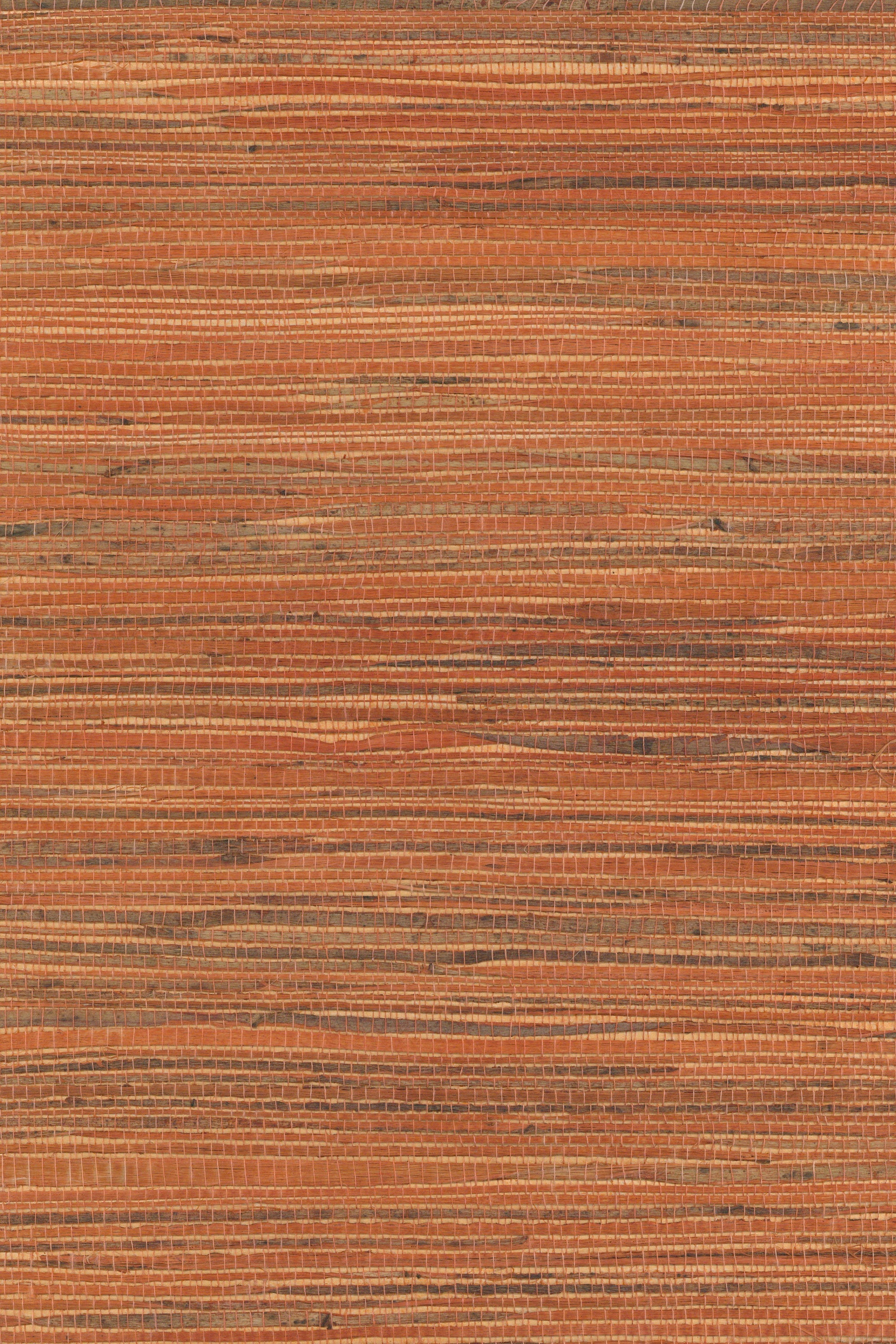 NH1007 Mango