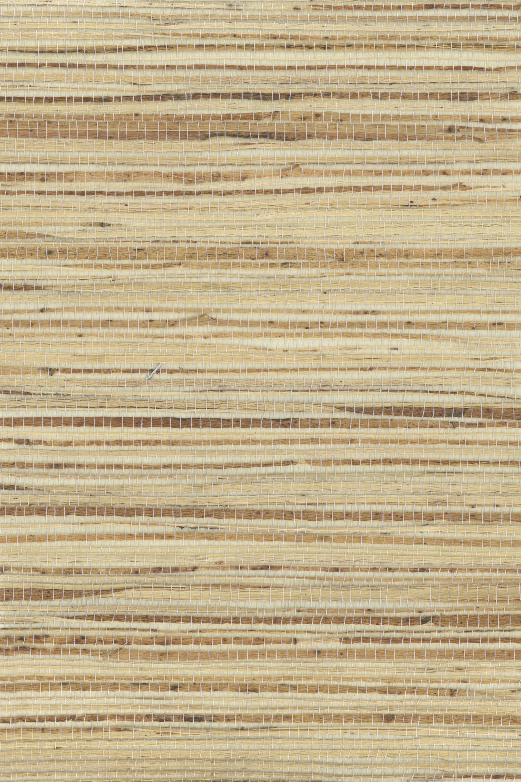 NH1013 Marzipan
