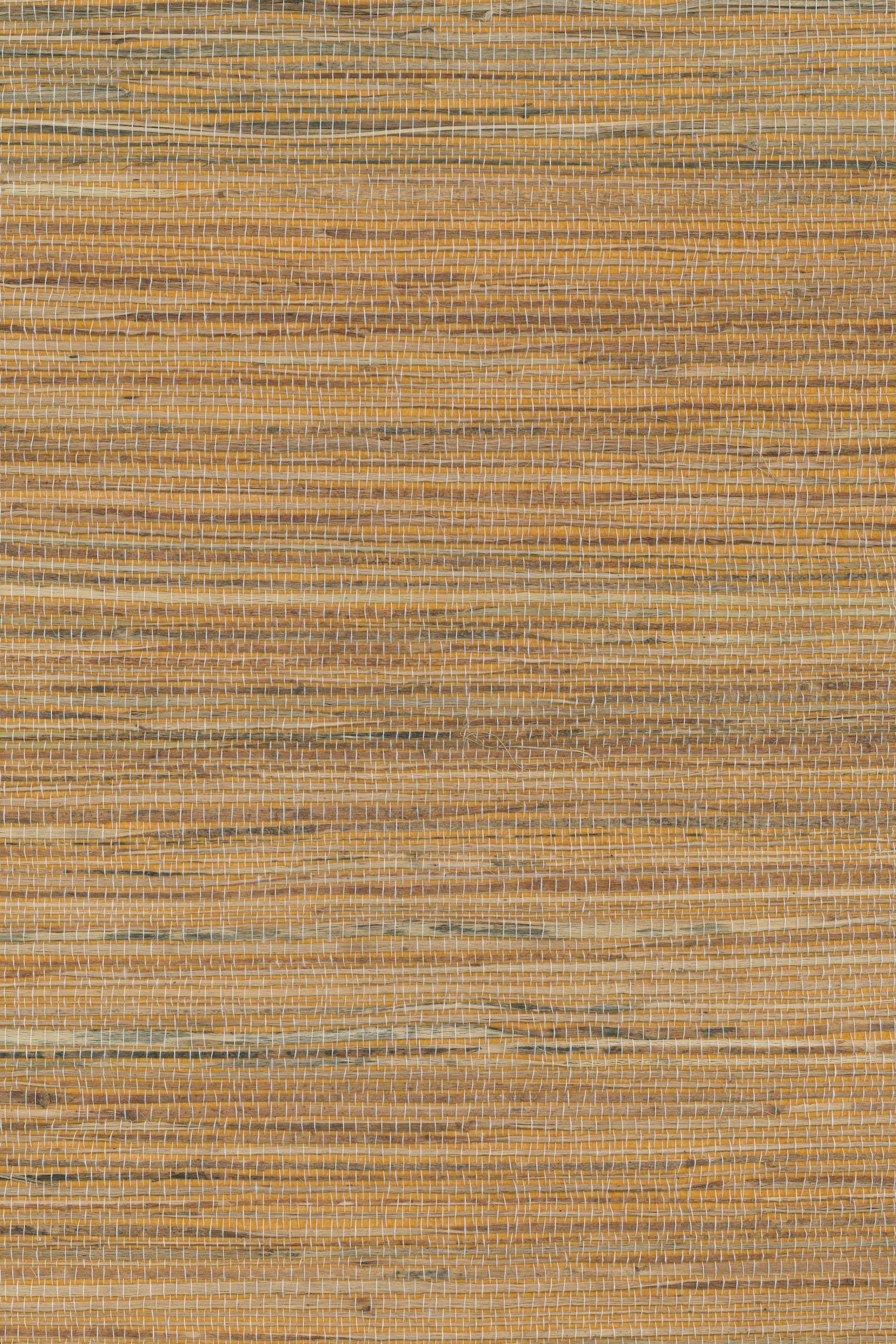 NH1019 Almond