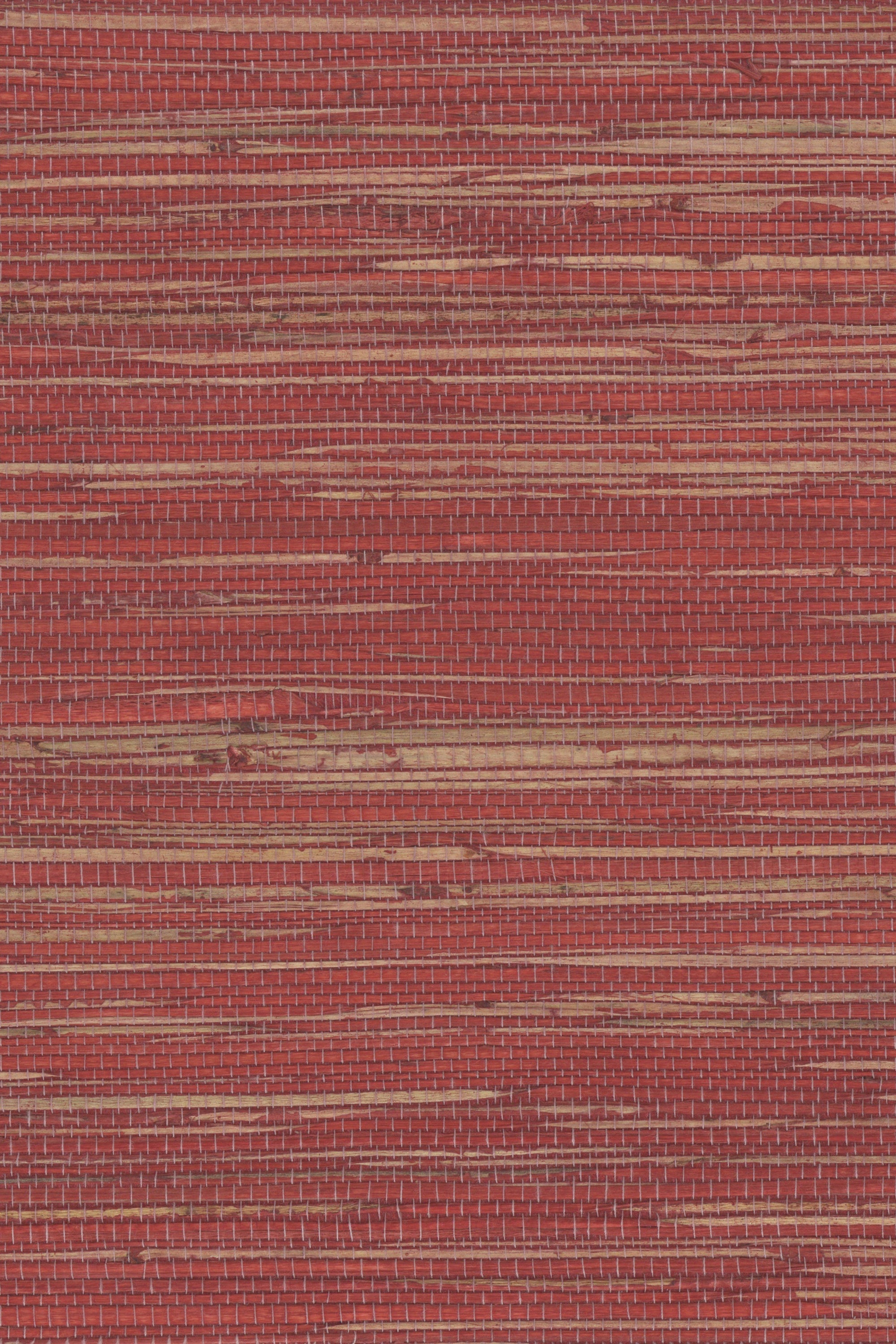 NH1037 Rose Red