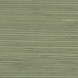 NH1043 Swamp
