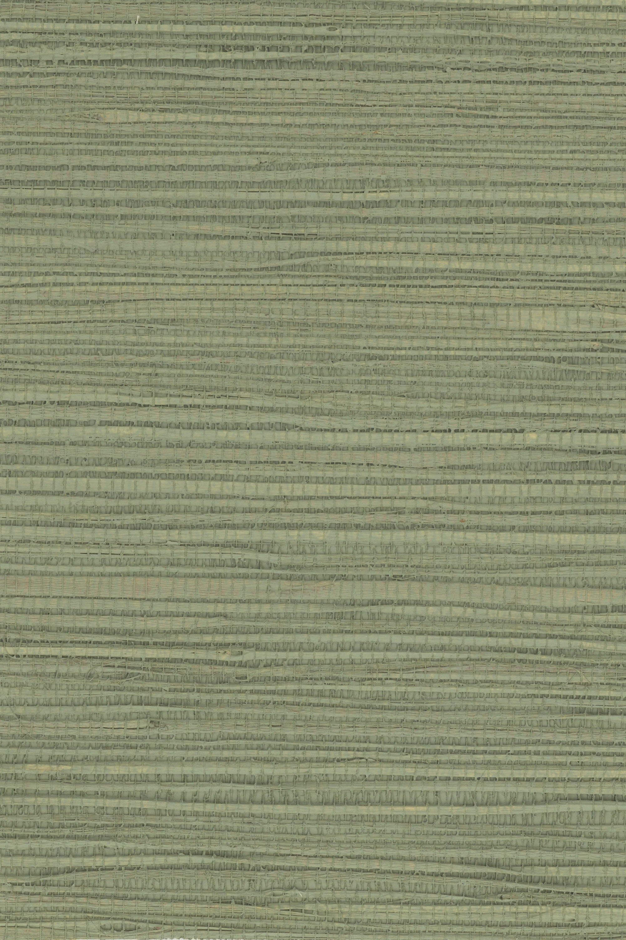 NH1043 Swamp