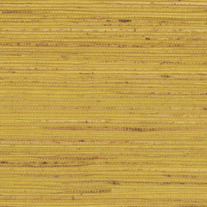 NH1056 Ceylon Yellow