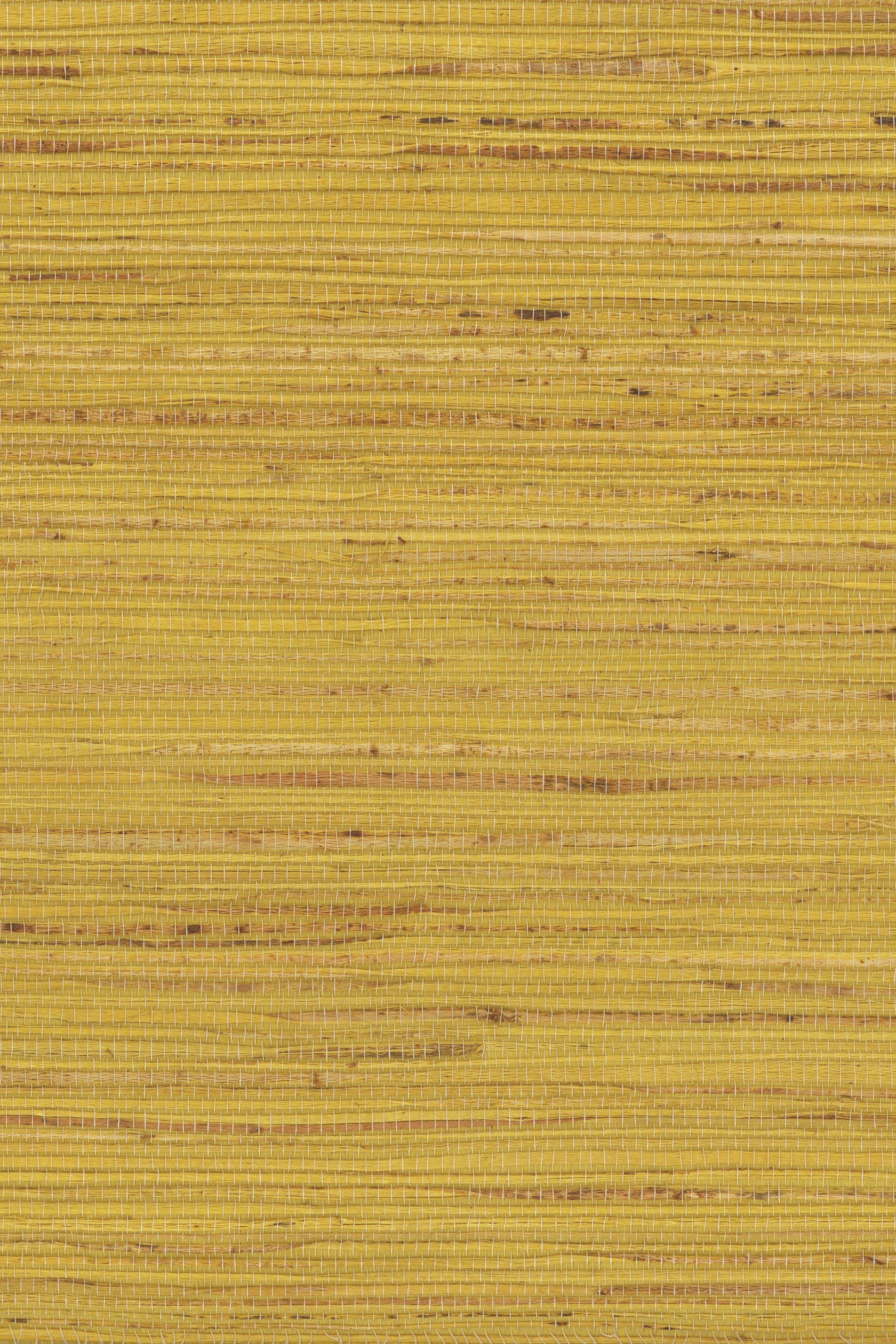NH1056 Ceylon Yellow