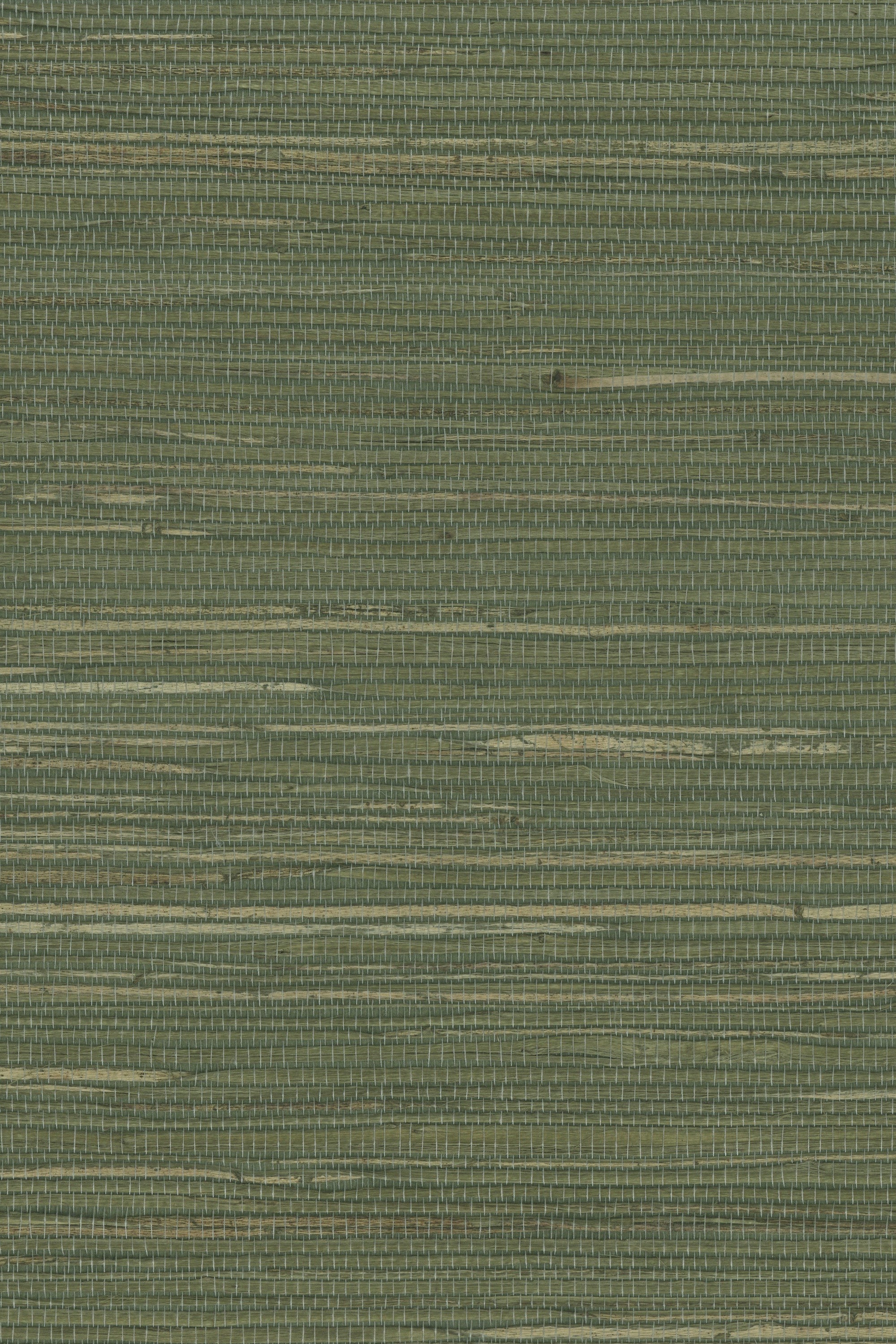 NH1061 Dried Herb