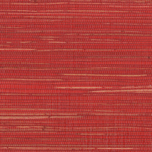 NH1064 Goji Berry