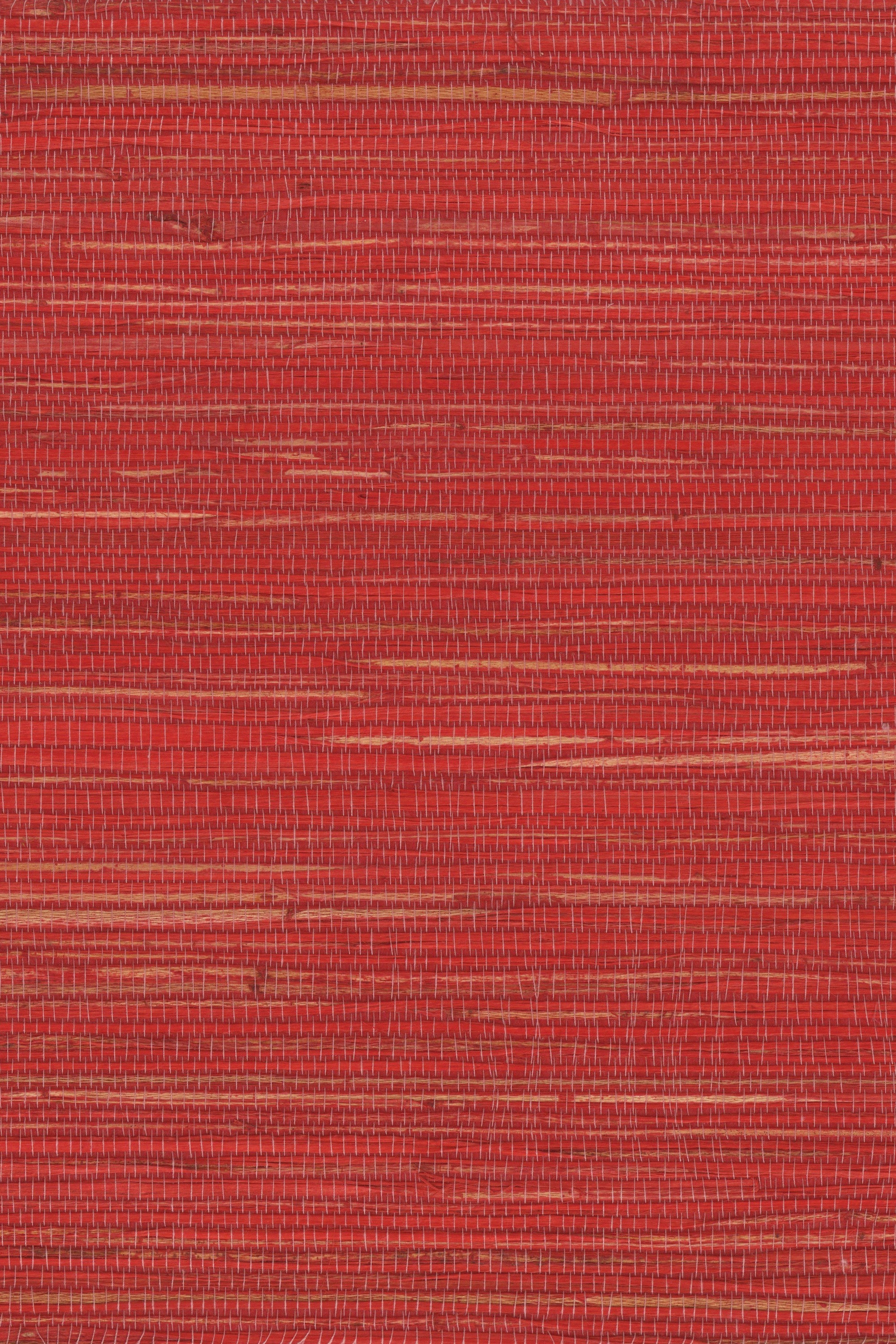 NH1064 Goji Berry