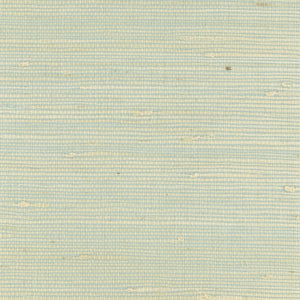 NH2116 Hushed Green