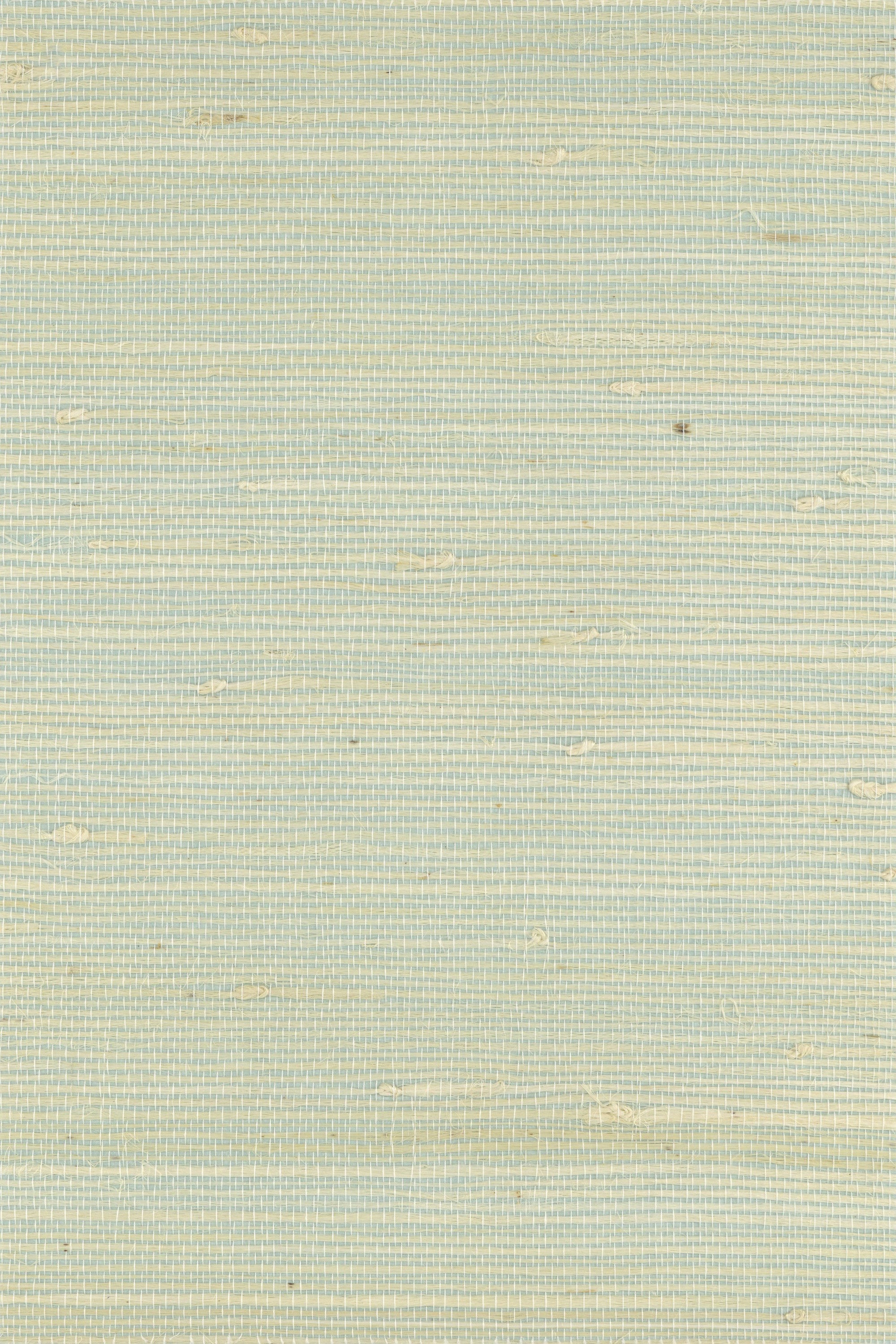NH2116 Hushed Green