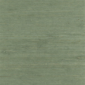 NH2122 Hedge Green