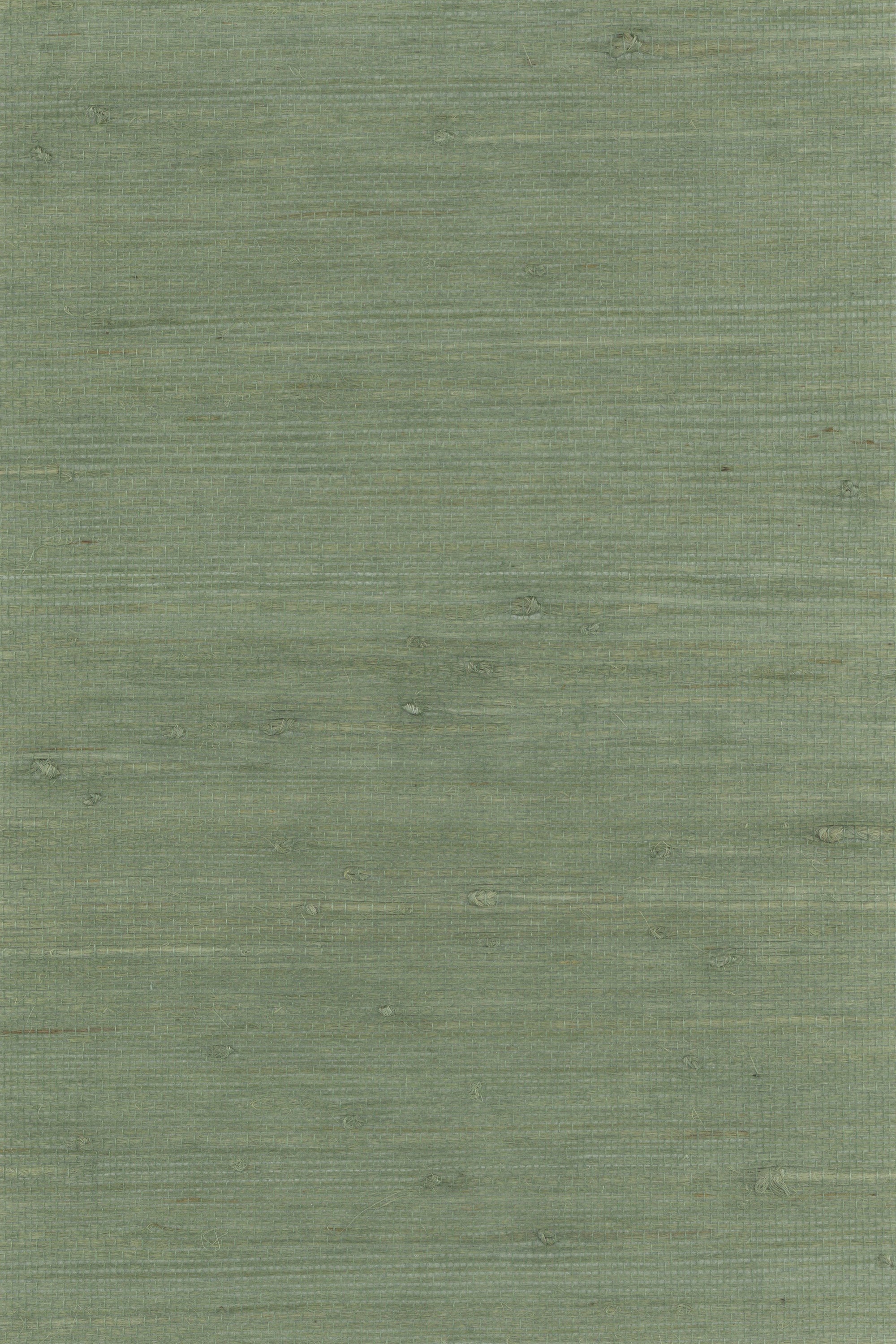 NH2122 Hedge Green