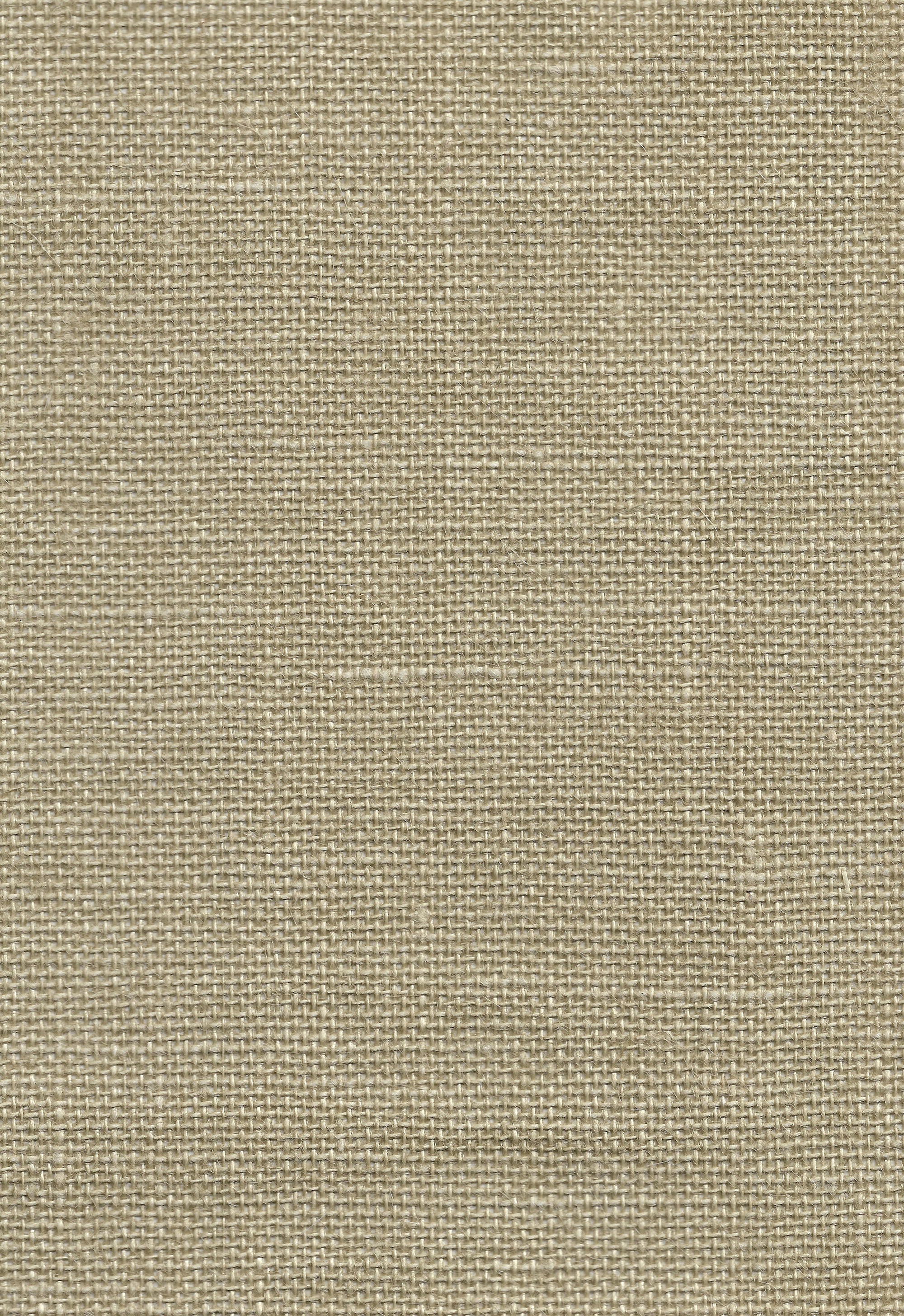 NH5108 Seed Pearl