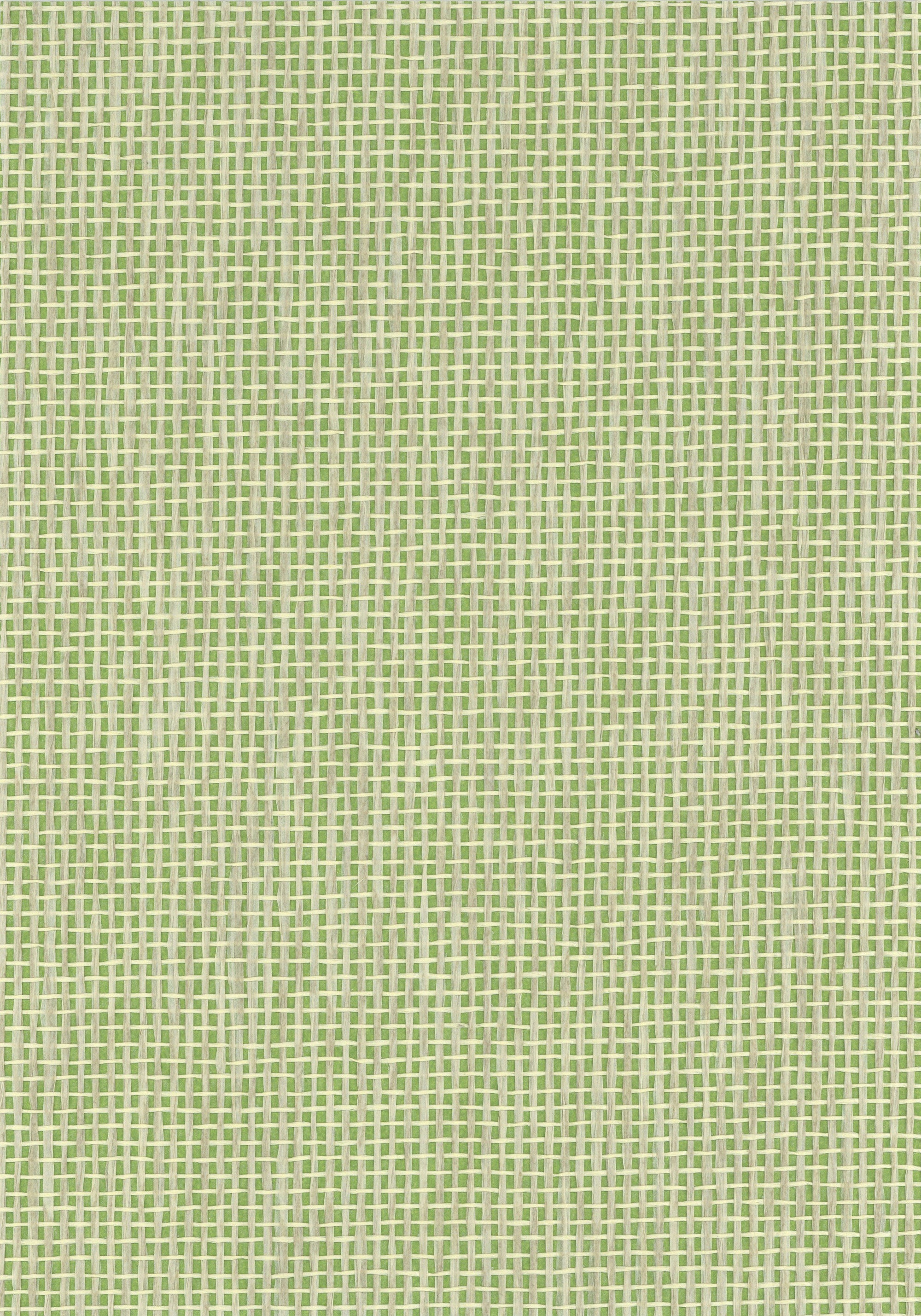 NP009 Lawn Green
