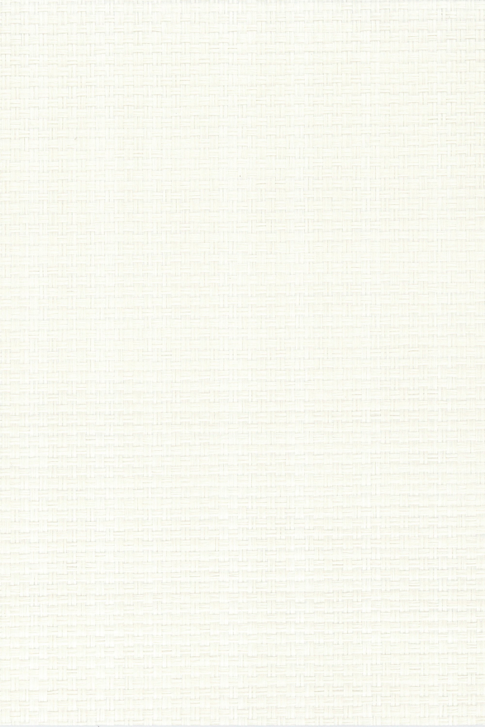 NP1001 Brilliant White