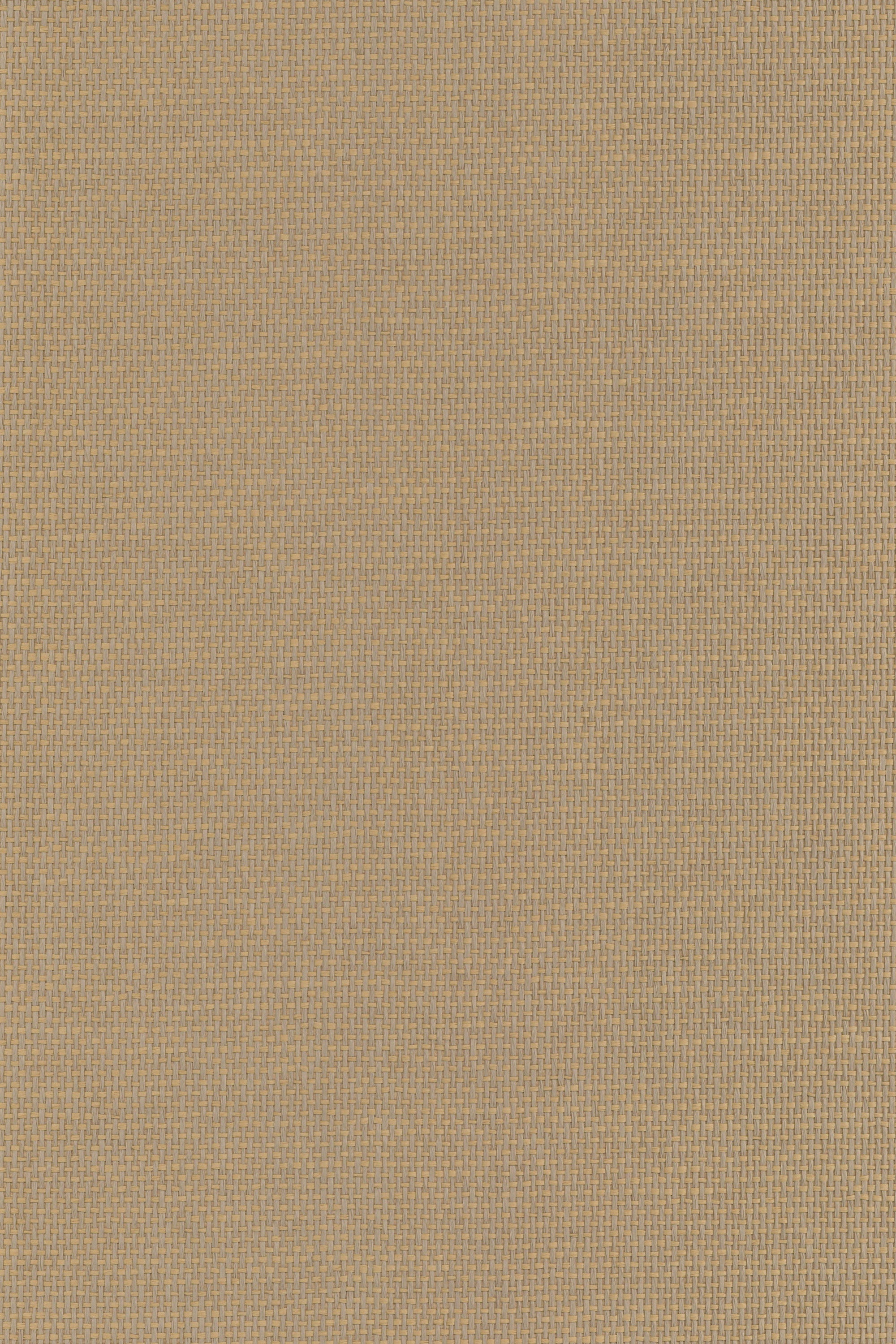 NP6004 White Pepper