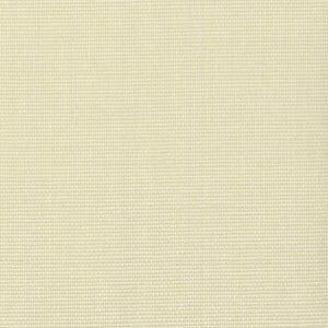 NP6007 Papyrus