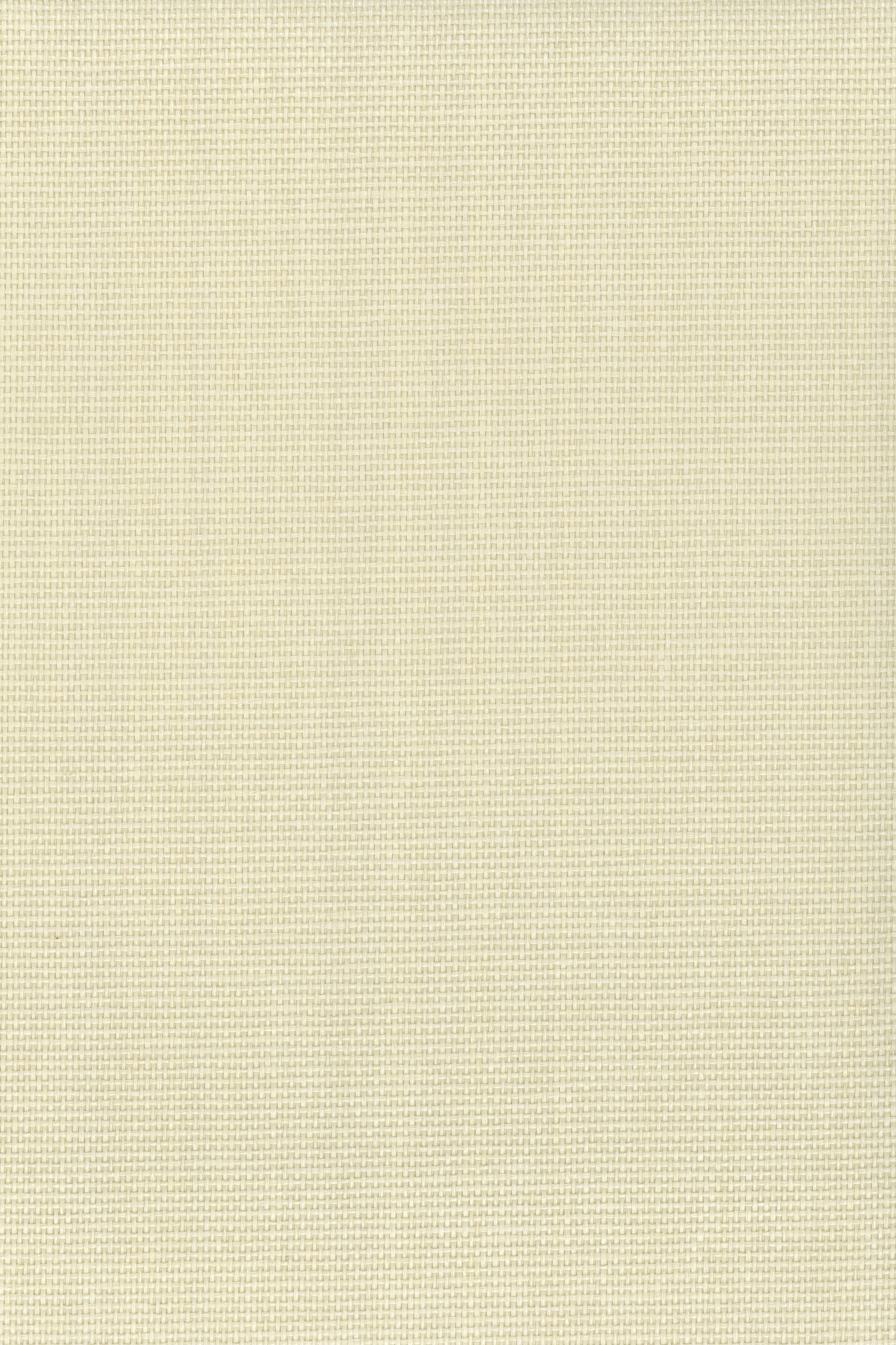 NP6007 Papyrus