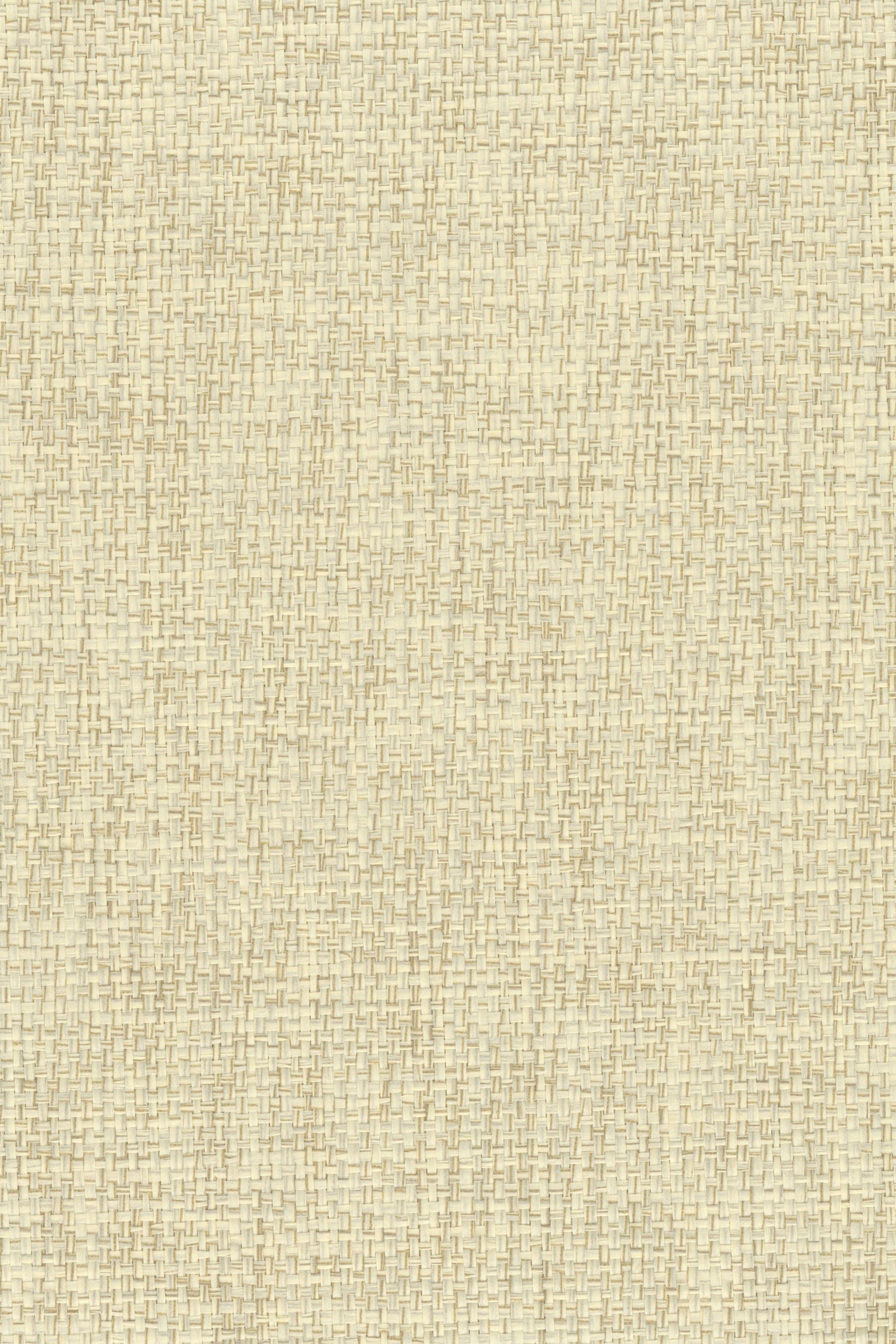 NP6058 Rice