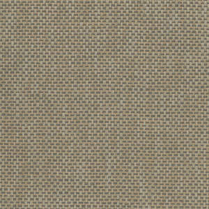 NP6108 Grass Cloth