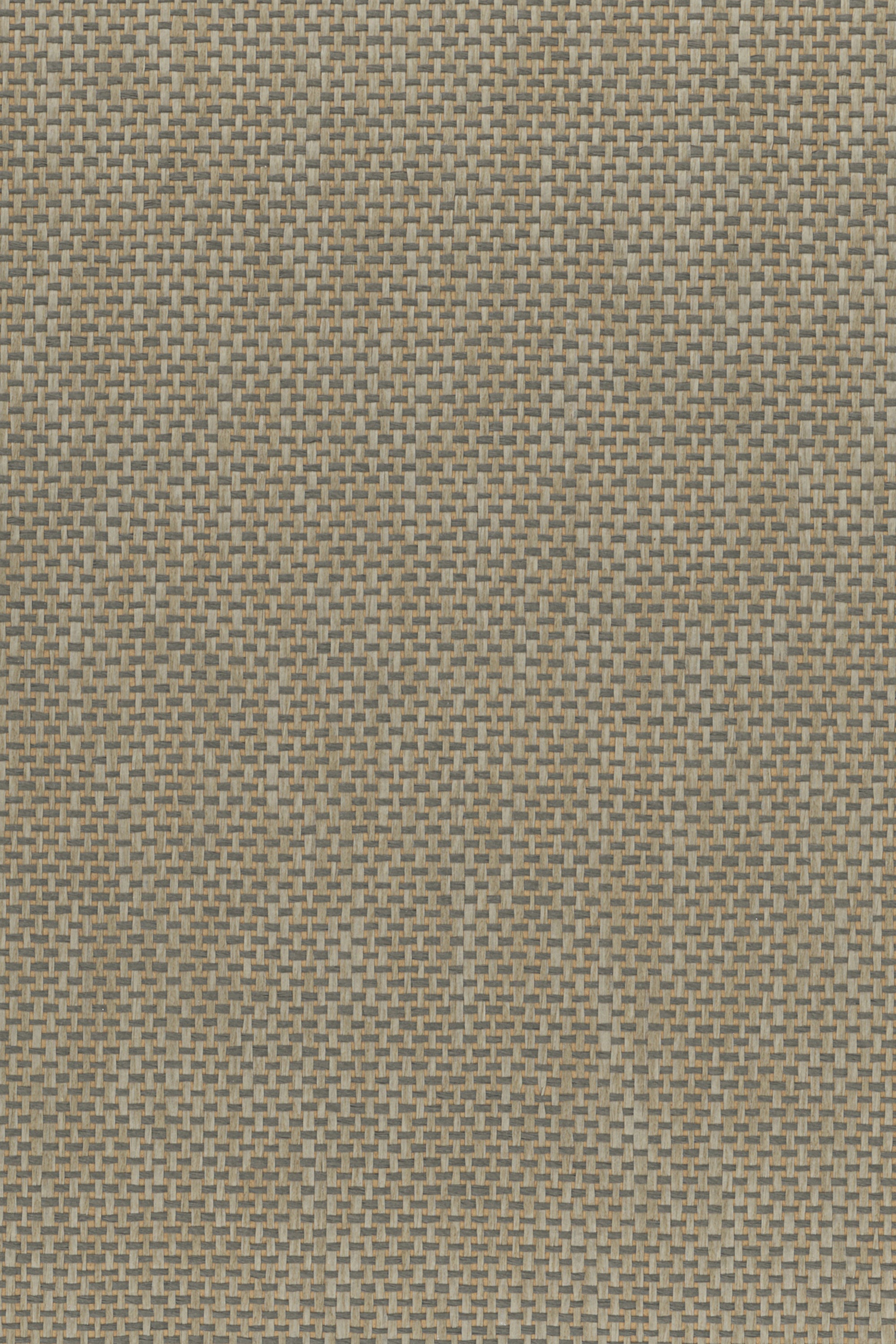NP6108 Grass Cloth
