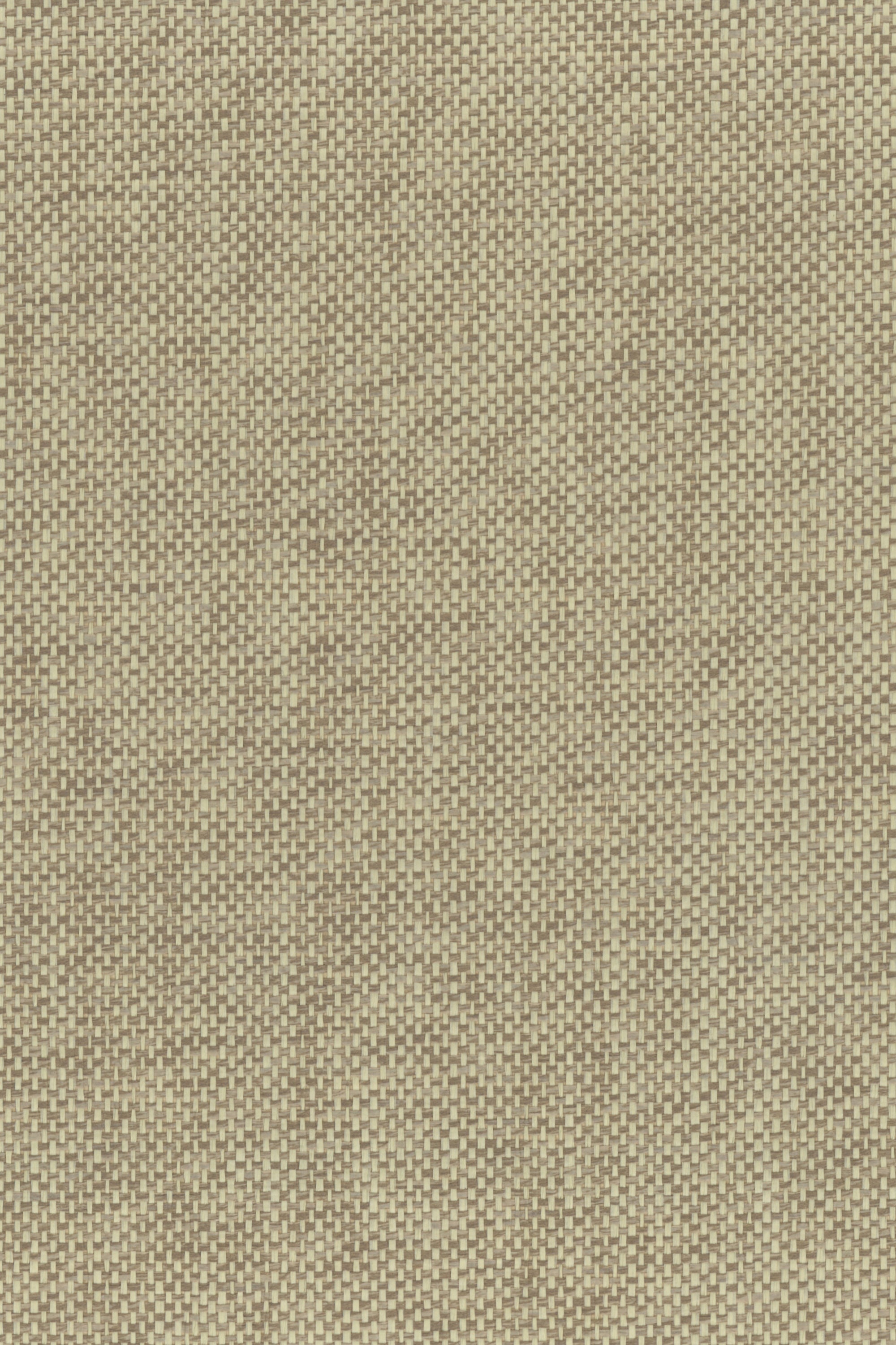 NP6113 Oatmeal