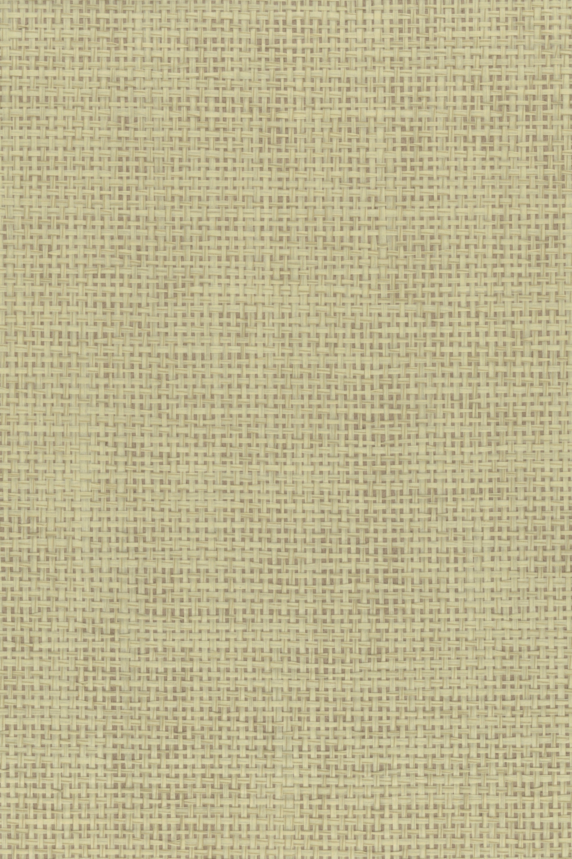 NP6121 Rustic